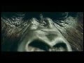 Reclame - Pororoca com Jader Rossetto