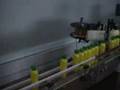 TPSI Bottling line for shampoo,lotions,lubricate oil etc.