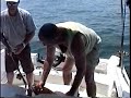 \"Get Fishing Show\" - Ocean Flounder trip \"Get Fishing Show\" - Ocean Flounder trip