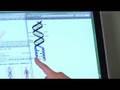 Human Physiology : What Is a Nucleotide?
