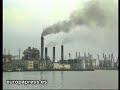Los alergólogos prevén este año una primavera tranquila Los alergólogos prevén este año una primavera tranquila