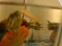 Pwned Fish Pwned Fish