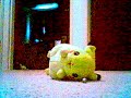 pokemon 2.0 pokemon 2.0