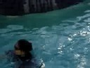 M & E SWIMMING