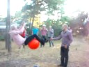Get Arne svingar runt i trädet. Arne The Goat svings around in tree.