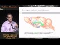 The Science of Compassion: Origins, Measures, and Interventions - Joel Finkelstein, Ph.D. candidate 