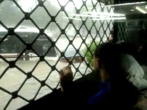 Ver vídeo