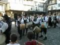 videos de Alberca