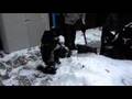 07.12.12 First Snow Fall @ Chicago Youtube2
