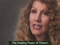Pets respond to flower essences