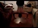 Handstand Push-ups