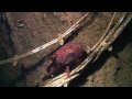 SS Saganaga Wreck Dive Newfoundland