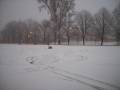 Lunchbox drifting