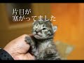 ???????????
??????????????

http://www.geocities.jp/chobi0205/ayuhito.htm

??????????????????
??????????????????
?????????????
????????????