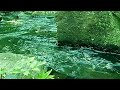 【癒し系】自然音 せせらぎ
