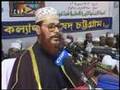 Allama Delawar Hussain Sayedee