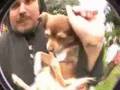 Nav Cast 11 - Dirty Bird @ the Golden Gate Park SF