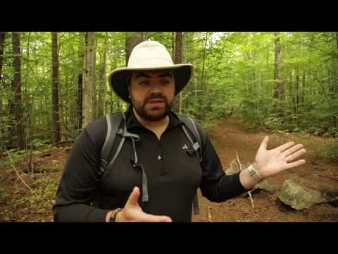 how to get more energy in b&b mysteries