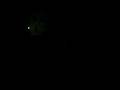 videos de Rebeka Dremelj-RadioRogla1