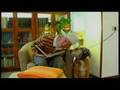 youtube merda : Mr lui stupra i cani prima di abbandonarli