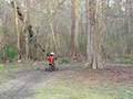 No handed lander