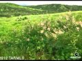 $79,000 in PATAGONIA 85624. Call Kathleen James ...