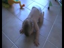 Axel fait du 4 pattes