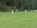 RIIS - FREE KICK RIIS - FREE KICK