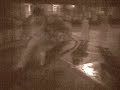 sarom capoeira sarom capoeira