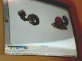 how to pokemon splice how to pokemon splice