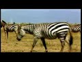 Tanzania TV Commercial
