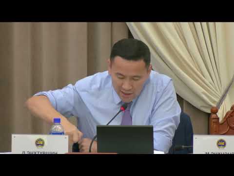 Д.Энхтүвшин: 2025 онд ДНБ-ний бодит өсөлтийг 8% гэж тооцсон байна. Энэ дотор уул уурхайн салбар ямар өсөлттэй байх вэ?