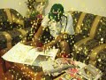 Ntrevista 6 11/11/08