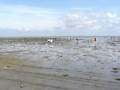 Causeway to Noirmoutier