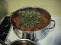 Five star  tomato sauce with organic garden tomatoes from scratch with Bill Zimmermann 6
