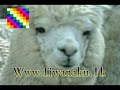 Awatiñas - Ayudame Wiracocha