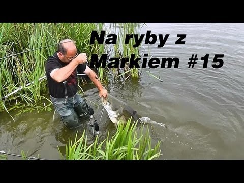 Na ryby z Markiem # 15 Karpiowy przyłów sum 160 cm