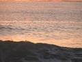 paddling grom