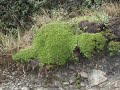 Huancabamba-Frias-Ayabaca-Salala(Piura-Peru)