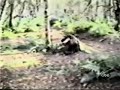 e3-blooper-reel-from-the-production-of-l.html