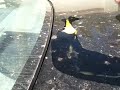 Frying Egg On Car: Attempt #1