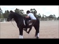 Dante - Atleta Paraolimpico - Ortopedia Conforpés