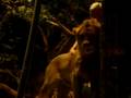 videos de titas 475