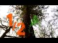 videos de Full Video: The Xerox Green Revolution