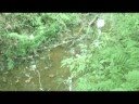 When Nature Calls