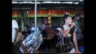 Pokoke Joget Mbah Mul Gaul Dangdut Susu Kiwo Candu Iromo