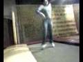 videos de un alcolista alla fiera