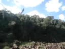 Macuco Safari