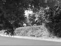 I don't get mad when I bail skateboarding