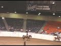 2000 Grey Arabian Mare For Sale